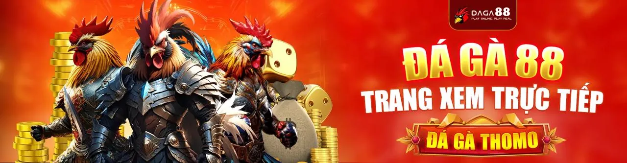 Đá gà trực tuyến kkwwin link mới với không khí sôi động